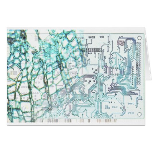 symbiosis - concept (Front Horizontal)