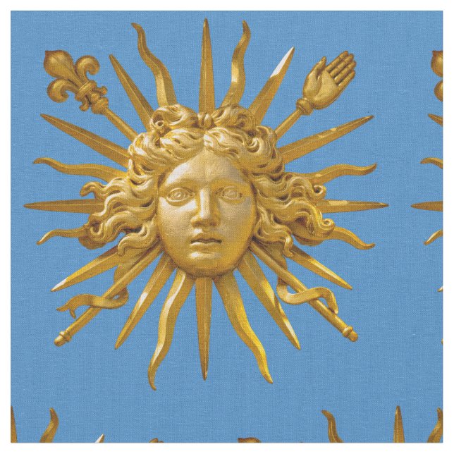Symbol of Louis XIV the Sun King Fabric (Close Up)