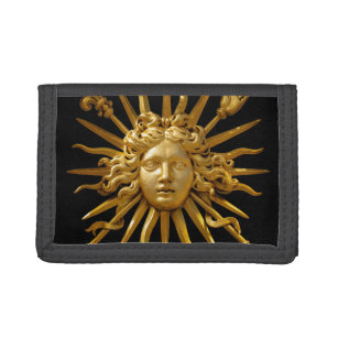 Symbol of Louis XIV the Sun King Photo Print | Zazzle