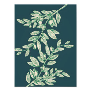 Symbol of Peace: Olive Branch with Olives Photo Print