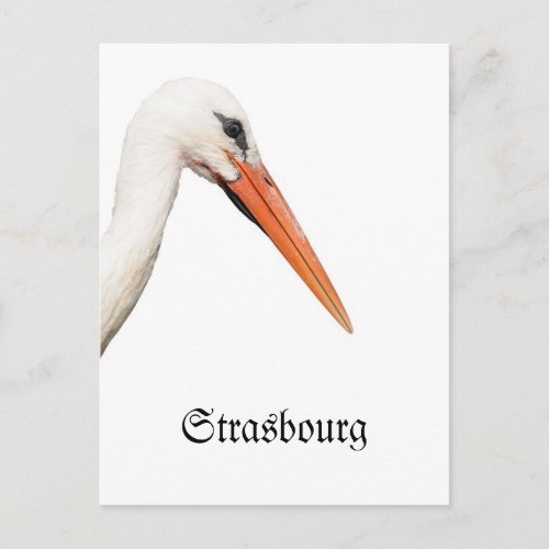Symbol Of Strasbourg Alsace Postcard