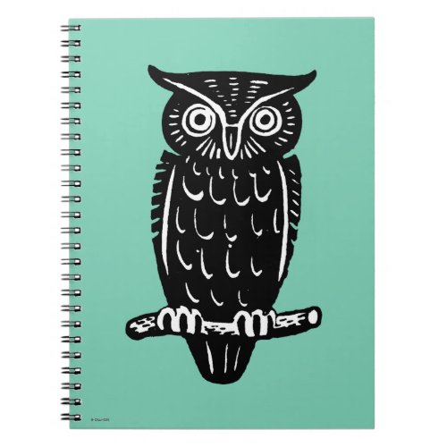 Symbol Wisdom Notebook