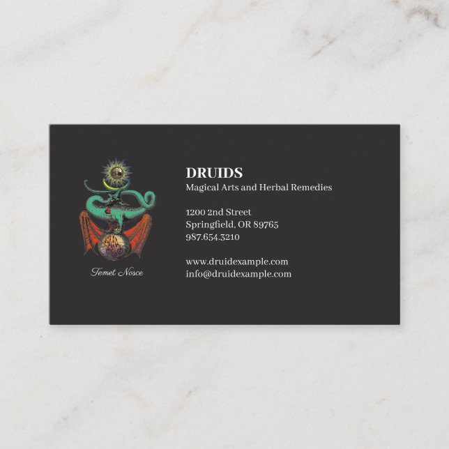 Symbolic Medieval Dragon Jet Black Business Card (Front)