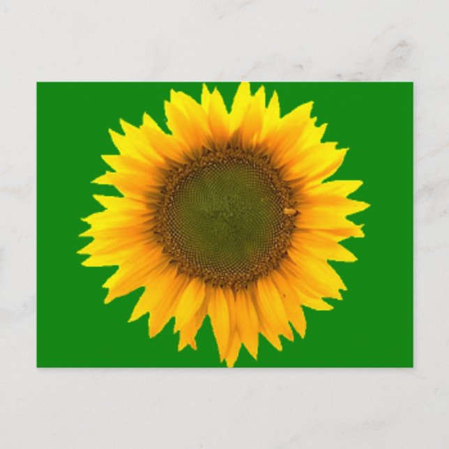 Symbolism of Light Post Card (Front)