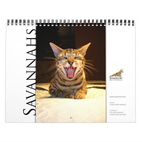 Syminou calendar 2018 Savannah Cat