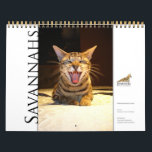 Syminou calendar 2018 Savannah Cat<br><div class="desc">Calendrier de chats Savannah 2018/ Calendar of Savannah Cats</div>