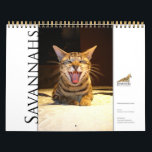 Syminou calendar 2018 Savannah Cat<br><div class="desc">Calendrier de chats Savannah 2018/ Calendar of Savannah Cats</div>