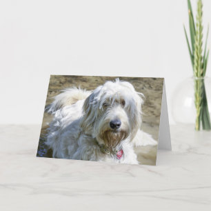 Sympathetic dogs help ease the pain over pet loss card