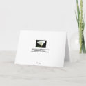 Sympathies - Calla Lily Card