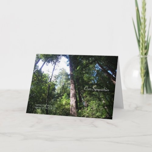 Sympathies - Redwoods - Card