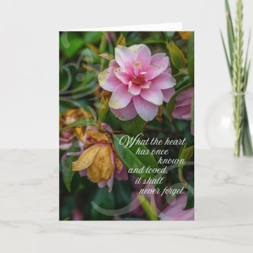 Sympathy and Comfort  Wild Irish Rose Card