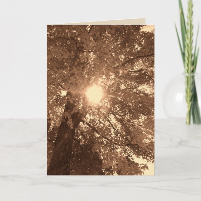 Sympathy and hope card (Front)