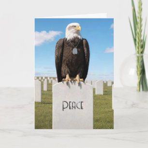 Sympathy Bald Eagle Wearing Military Dog Tags Card