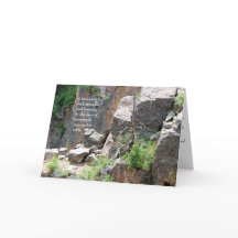 Sympathy: Black Canyon Tree