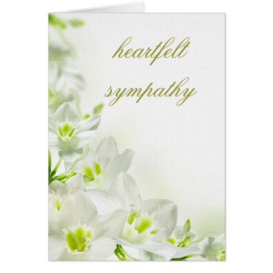 Sympathy Card | Zazzle