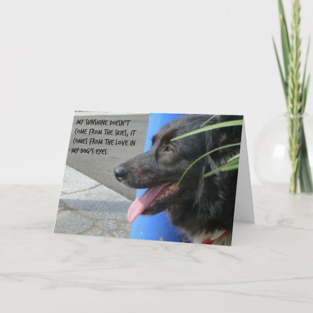 Sympathy Card for Dog - Sunshine in my Dog's Eyes (Front)