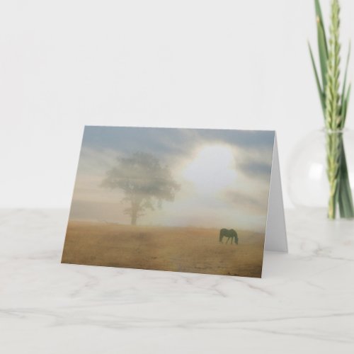 Sympathy Card for Horse Owner