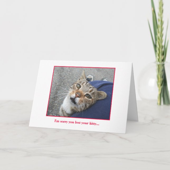 Sympathy Card for loss of Kitty (Front)