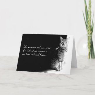 Sympathy card for the loss of a beloved pet cat