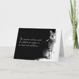 Sympathy card for the loss of a beloved pet cat | Zazzle