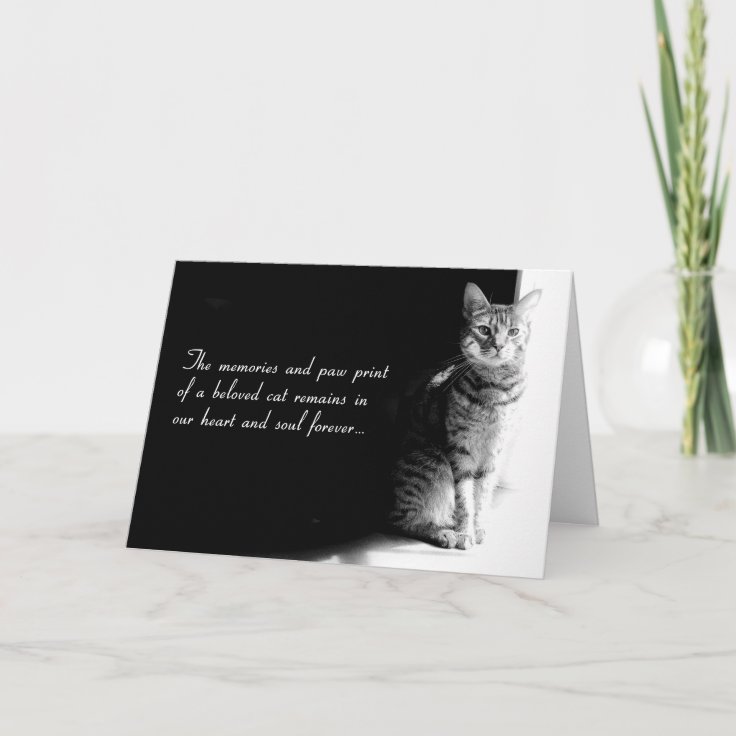 Sympathy card for the loss of a beloved pet cat | Zazzle