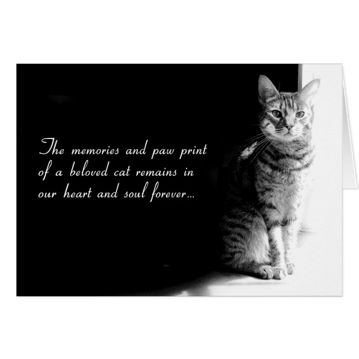 Image Result For Pet Sympathy Cards Image Result For Pet Sympathy Cards