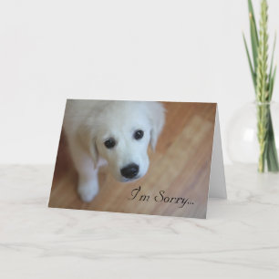 Sympathy card, I'm Sorry for... Letterpress Thank You Card
