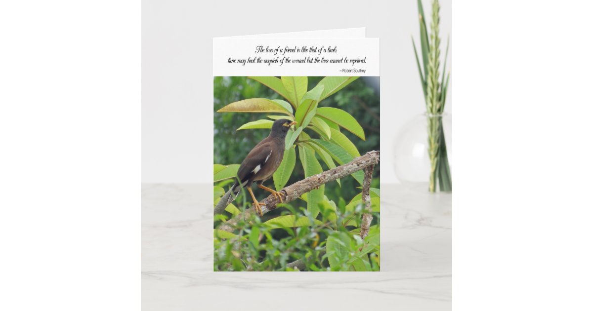 Sympathy card - Loss of a friend | Zazzle.com