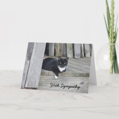 Sympathy Card __ Loss of Cat