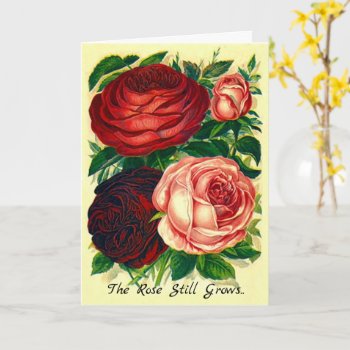 Sympathy Card The Rose Still Grows Beyond The Wall by layooper at Zazzle