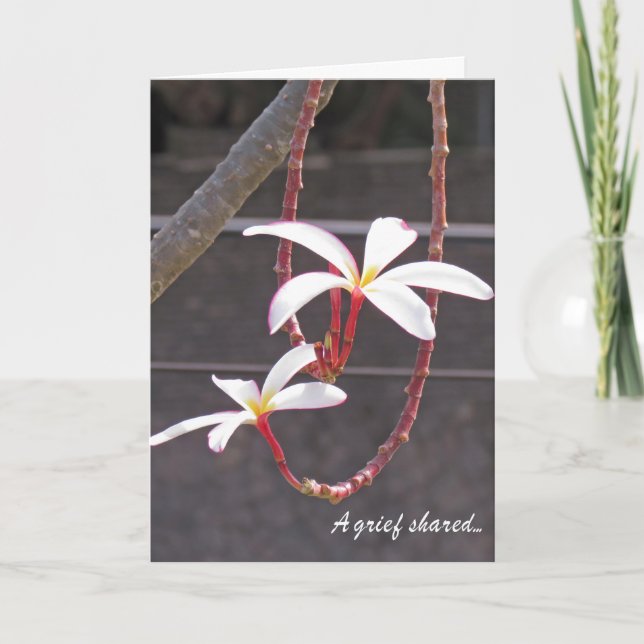Sympathy Card-Tropical Flowers Card (Front)