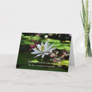 Sympathy Card - Water Lily
