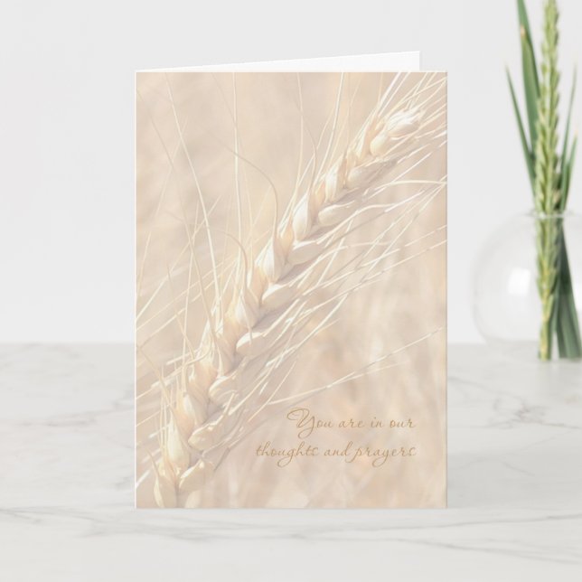 Sympathy Card / Wheat Sympathy Card (Front)