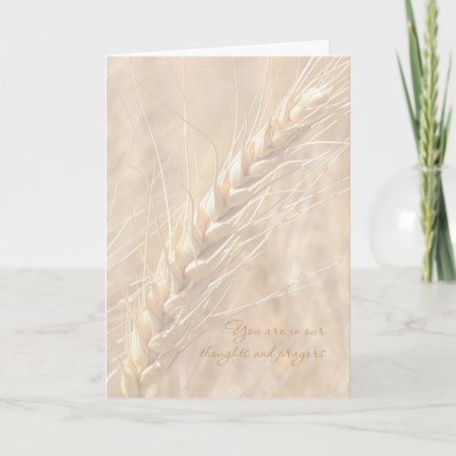 Sympathy Card  Wheat Sympathy Card