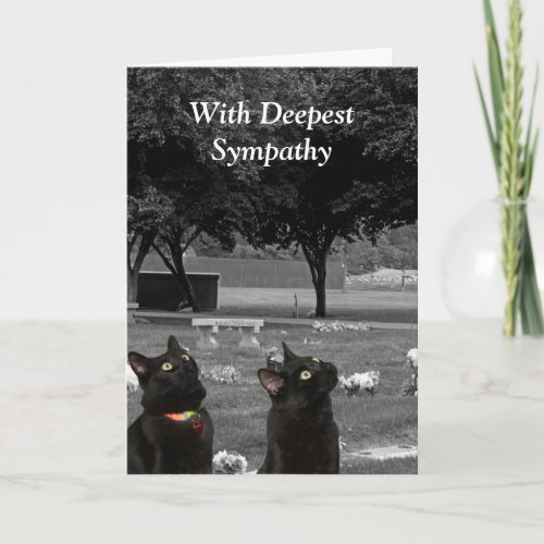 Sympathy Card with Black Cats