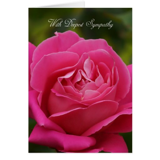 Sympathy Card With Pink Rose | Zazzle