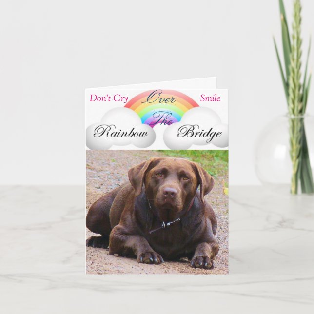 Sympathy Cards for Dog j/ labdor retrivers lovers (Front)