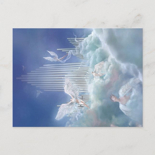 Sympathy Cards. Postcard (Front)