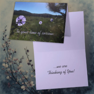 Sympathy Condolences Blue Flax Flowers Photograph Card