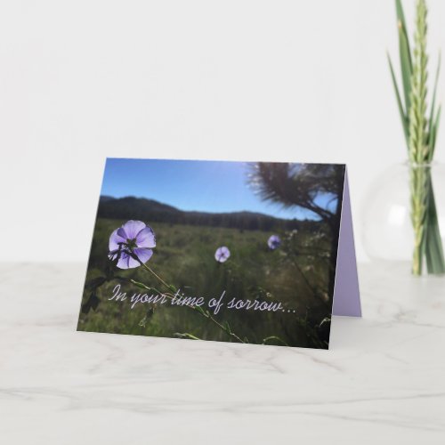 Sympathy Condolences Blue Flax Flowers Photograph Card