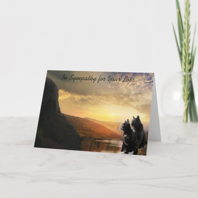 Sympathy Death of Pet Cat Card (Front)