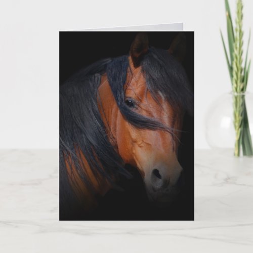 Sympathy for loss of horse card