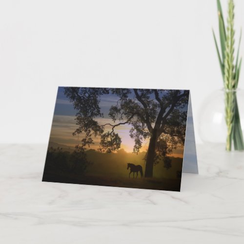 Sympathy for loss of horse oak tree and sunset card