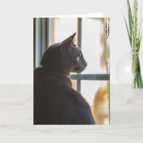 Sympathy for loss of pet greeting card blank