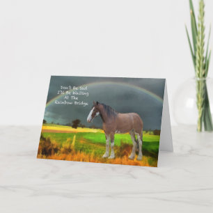 Sympathy for loss of pet horse card
