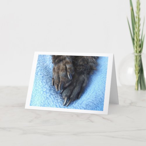 Sympathy For Loss Of Pet Poodle Paws Blanket Card