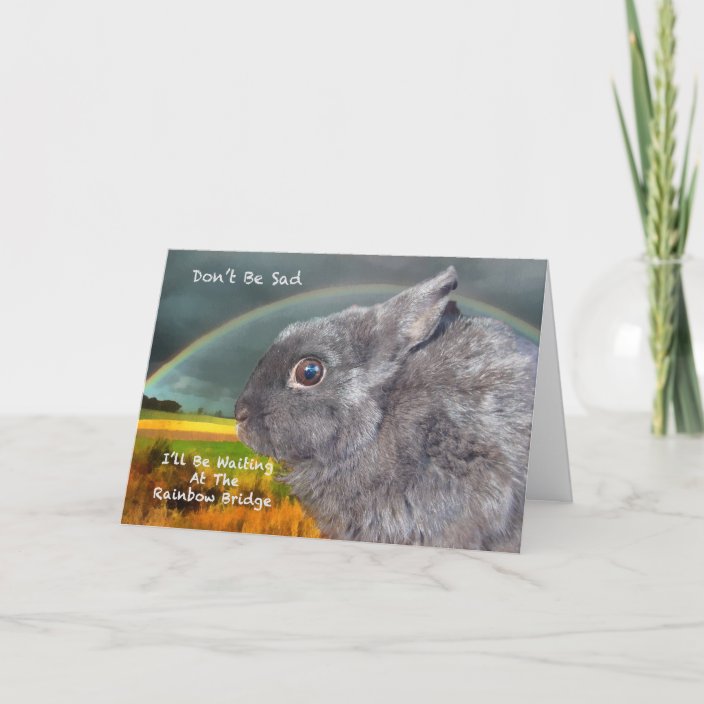 Sympathy for loss of pet rabbit card | Zazzle.com