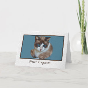 Sympathy for Loss of Pet with Cat Card