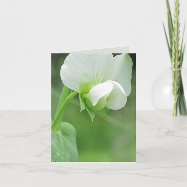 Sympathy Greeting Card customizable template (Front)