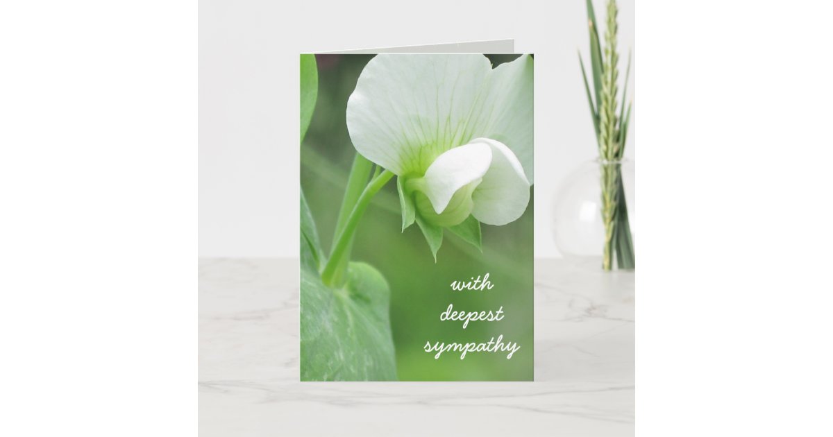 Unique 77 Zazzle Greeting Card Template